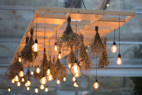 Garden Party Lights Service